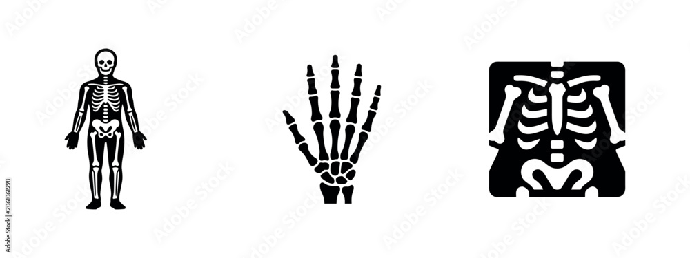 Fototapeta premium Human skeleton icons for anatomy and medical illustration