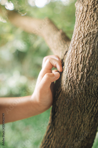 Close-up of a child's hand holding a tree branch during outdoor exploration. Concept of nature connection, adventure, environmental learning, childhood development, and active play.