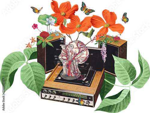 Bild auf Leinwand transparent - A head, revealing its anatomy, sits on a record player, playing a