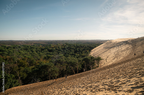 Dune du Pilat vue depuis le sommet, forêt des Landes, Gironde