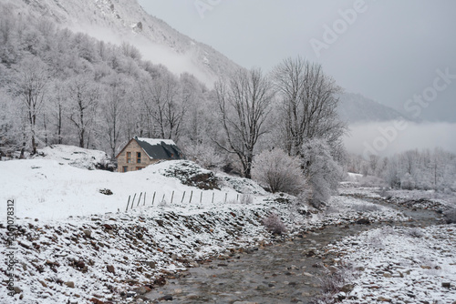 Snow-covered branches above a small river flowing through a misty winter valley.
