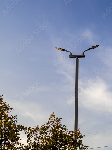 LED street light pole in the garden