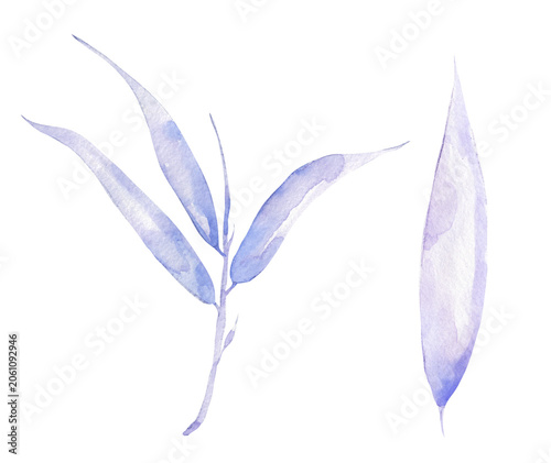 Watercolor bamboo leaves branch llustration set, hand drawn delicate bamboo leaf clip art, nature clipart