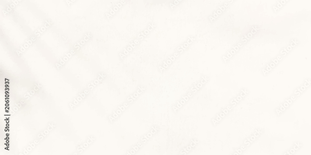 Obraz premium Shadows of palm leaves cast a delicate, ethereal pattern on a softly textured, pale backdrop, suggesting a serene and tranquil atmosphere.