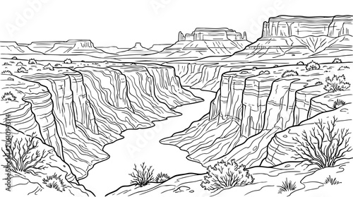 Canyon landscape illustration, detailed line drawing with sparse vegetation.