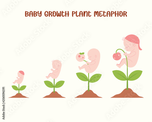 Pink baby growth plant metaphor with four stages of development growth stages