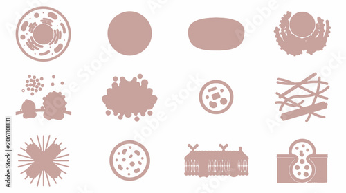 фотографія Collection of Scientific Cell Biology Diagrams and Illustrations.