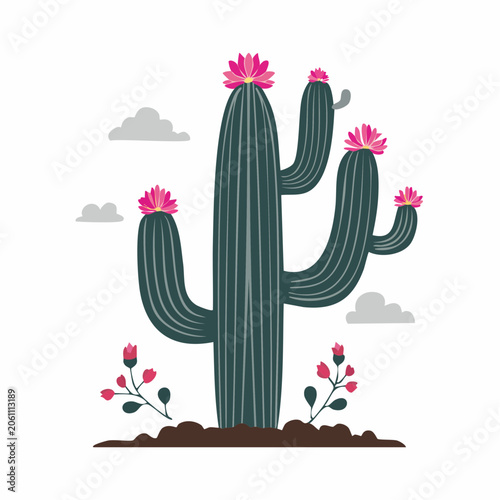 Illustration of a Saguaro Cactus with Pink Flowers and Clouds