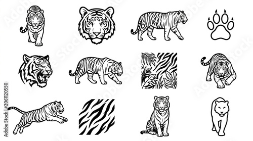 Bild auf Leinwand Collection of Tiger Illustrations and Patterns.