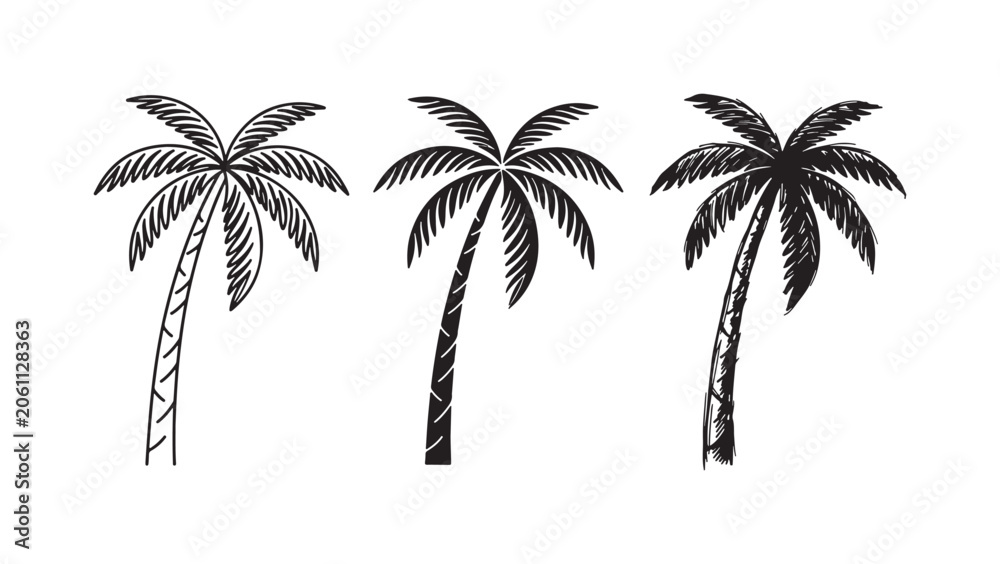 Naklejka premium Set of classic coconut palm tree illustrations: outline, solid black silhouette, and detailed hand-drawn sketch, embodying tropical vibes.