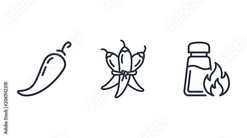 Spicy chili peppers and hot sauce icon set for culinary design