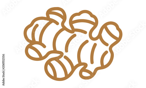 Stylized ginger root with organic segments in a warm earth-tone monoline flat design, isolated on white. Healthy ingredient concept