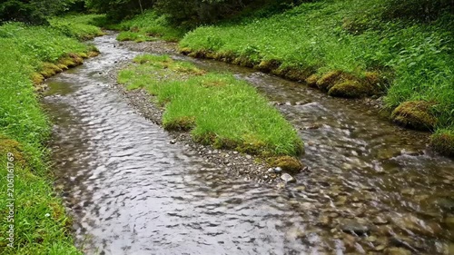Mountain creek natural scenery, clear stream through green grass
