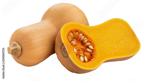 Obraz na plátne Butternut squash half with seeds and whole squash