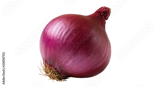 Fotografía Whole red onion with dry papery skin and root fibers