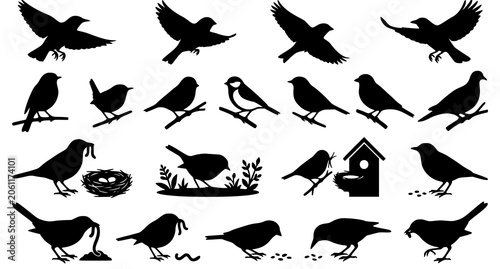 Obraz na płótnie Flying and Perching Bird Silhouettes Collection Isolated Wildlife Vector Set