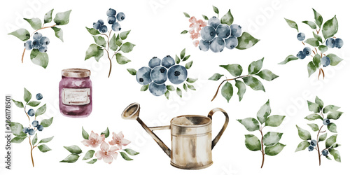 Watercolor Blueberry Botanical Clipart Collection with Berry Branches, Jam Jar and Watering Can