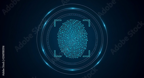 Biometric Fingerprint Identification Security System.
