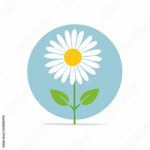 Stylized Daisy Flower Icon