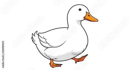 Photos White Duck Walking Sideways Profile View.