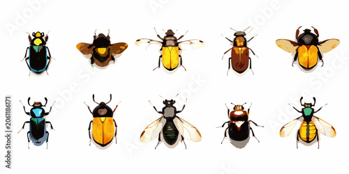Billede på lærred Ten Bee Specimens Colorful Vector Illustration On White Background