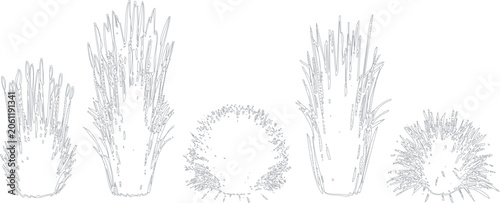 Tableau sur toile Set of five different stylized sea urchin illustrations