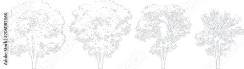 Φωτογραφία Set of four different deciduous tree silhouettes for architectural design