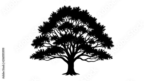 Fotografie Silhouette of an Ancient Oak Tree: A majestic oak tree, rendered in silhouette, showcases its sprawling branches and dense foliage, symbolizing strength, wisdom, and endurance