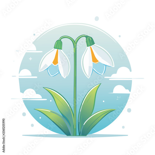 Flat design illustration of two snowdrop flowers with leaves and