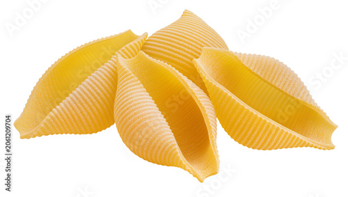 Foto Group of large ribbed pasta shells conchiglioni, uncooked