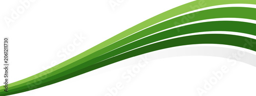 Abstract green wave background. Curved lines graphic design. Eco friendly nature concept. Smooth flowing stripes on white. Modern corporate banner template. Vector illustration.