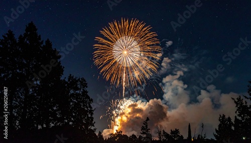 Nighttime Firework Burst with Trees