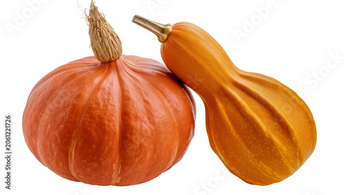 Bild auf Leinwand Round orange pumpkin and elongated gourd with ribbed texture