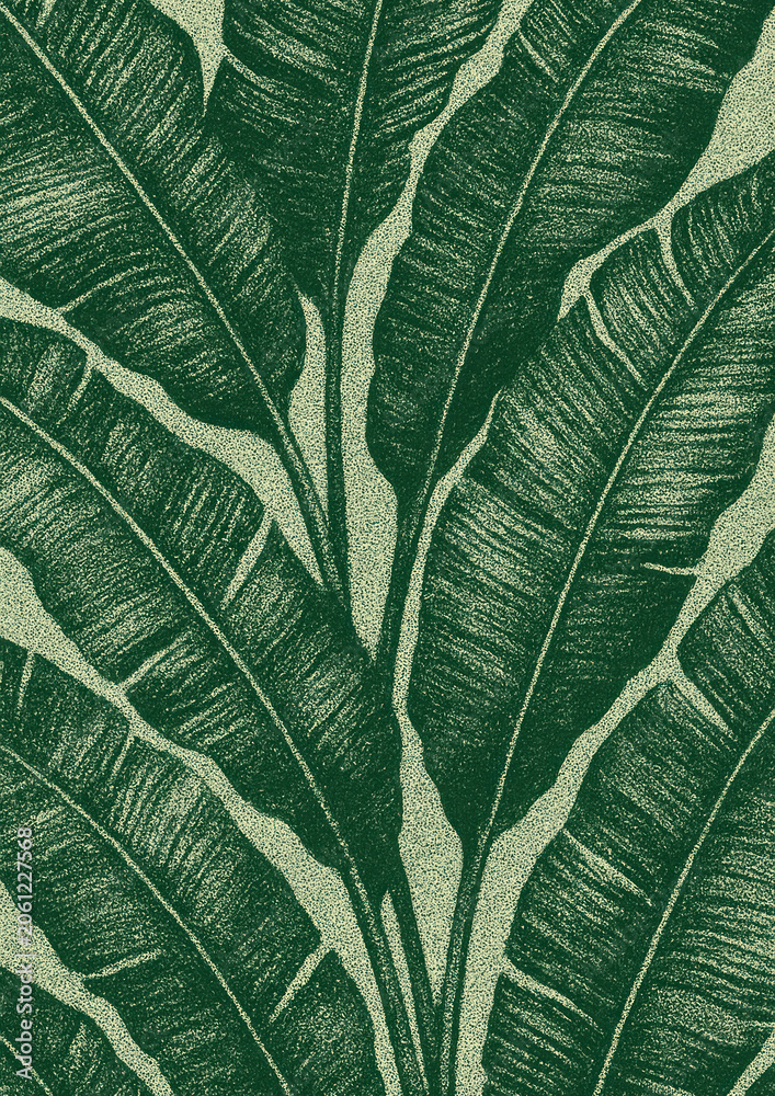 Obraz premium Tropical leaves textured illustration