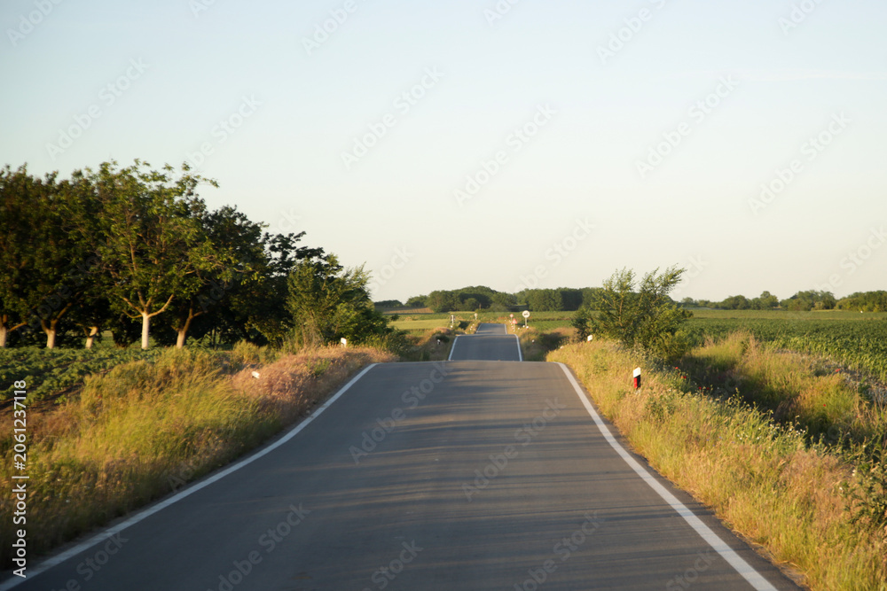 Naklejka premium Winding country road surrounded by orchards, fields and summer greenery in warm sunlight
