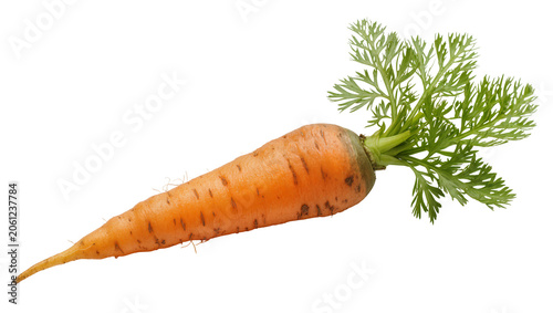 Schilderij op canvas Orange carrot with green leafy tops