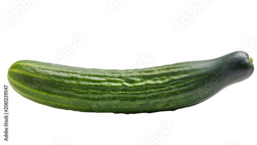 Fotografía Long green cucumber with dark stripes and textured skin