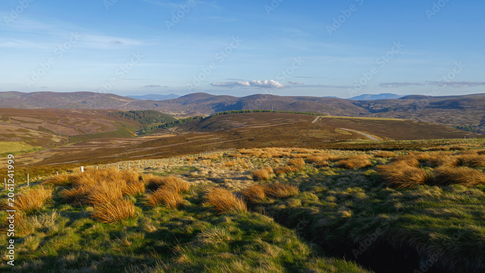Obraz premium Landes de bruyère des Cairngorms au coucher du soleil, Écosse