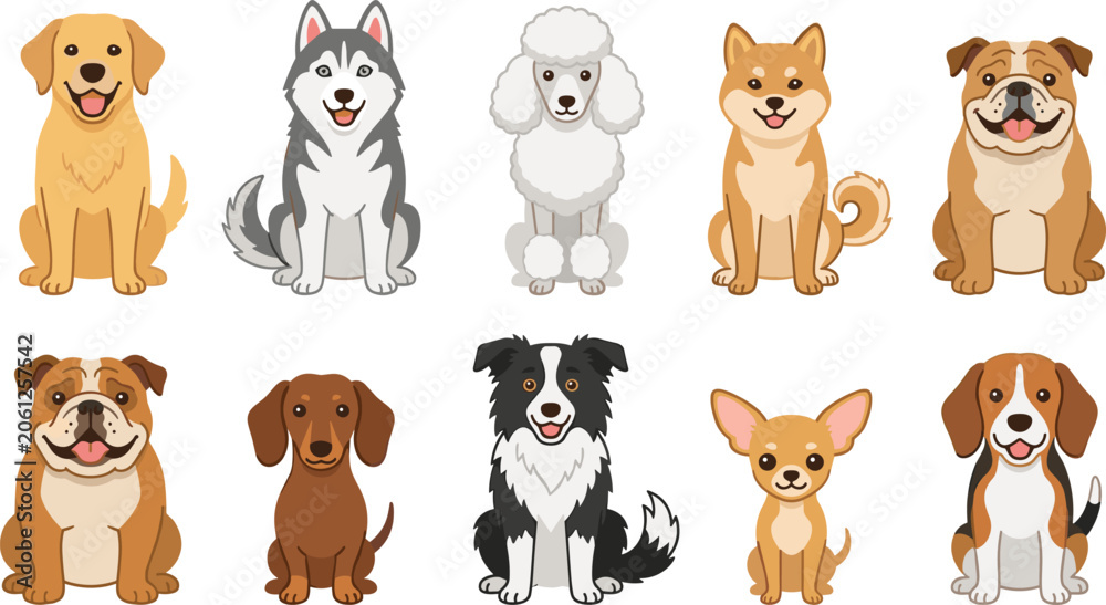 Fototapeta premium Cute Dog Breeds Cartoon Collection Featuring Golden Retriever Siberian Husky Poodle Shiba Inu Bulldog Dachshund Border Collie Chihuahua and Beagle Vector Illustration