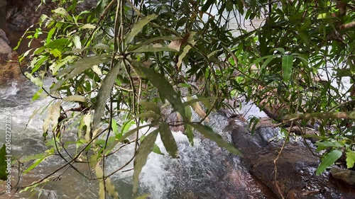 Close-up view of a flowing freshwater stream with a tree branch in the foreground, showcasing natural movement, rippling water, and a tranquil outdoor environment