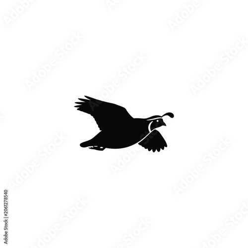 Flying Quail Silhouette Icon, Black California Quail Bird Vector Graphic in Flight, Game Bird Symbol with Topknot, Isolated Minimalist Design for Logos, Web Design, and Creative Projects.