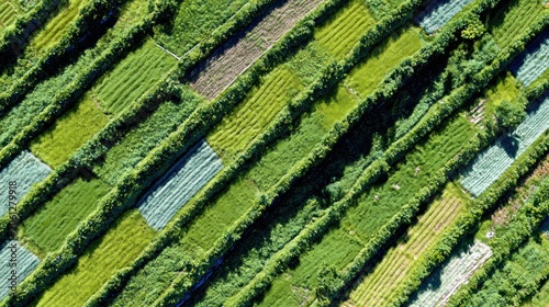 Aerial view of cultivated land diagonal patterns of fields in various colors