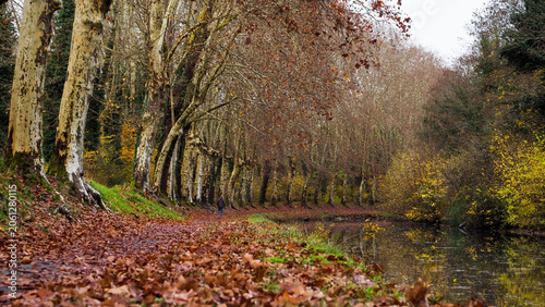 Berges du canal du Midi, en Gironde