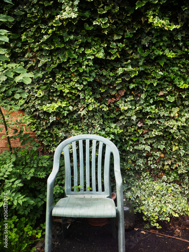 ivy covered cottage