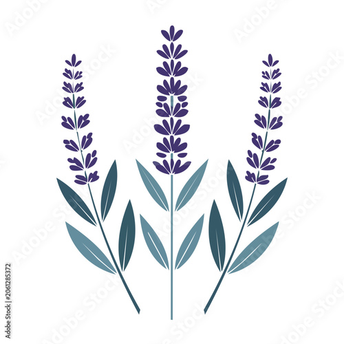 Flat Design Lavender Flower Illustration