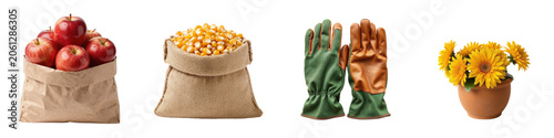Apples, grains, gardening gloves, and potted flowers on white background  