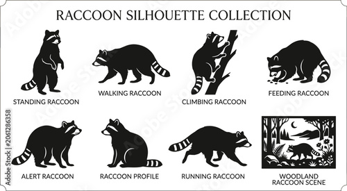 Canvas Print Raccoon silhouette collection with climbing walking standing behaviors and woodl