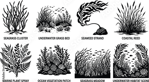 Photos Underwater marine plant silhouette bundle with seaweed seagrass meadow and coast