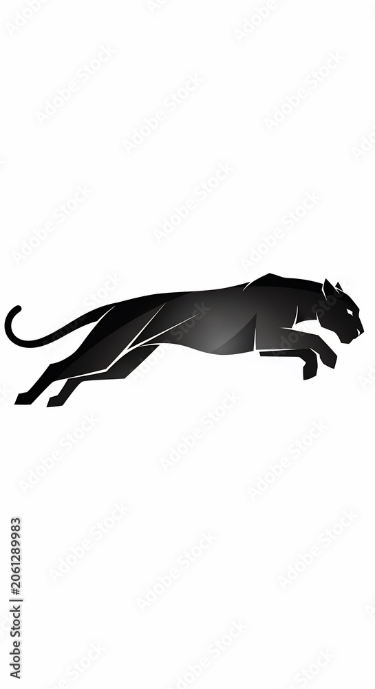 Fototapeta premium Geometric Shadow of the Leap