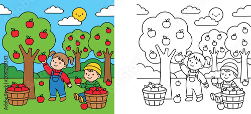 Foto Kids picking apples in orchard coloring page and color vector illustration